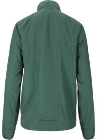 Groene jas met hoge kraag, lange mouwen, gladde textuur, matte afwerking en contrasterende stiksels. Geen zichtbare hardware of zakken.