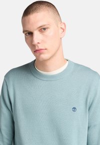 Jasnoniebieski sweter wykonany z dzianiny. Posiada okrągły dekolt oraz małe haftowane logo na piersi. Czysty, minimalistyczny design.