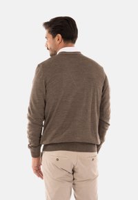 Maglione a maglia marrone con colletto a giro e polsini a coste; indossato sopra una camicia bianca con colletto; texture morbida, vestibilità casual.