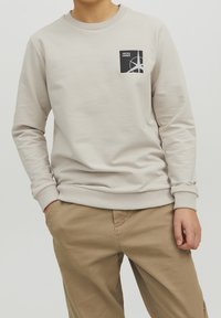 Jack & Jones Junior JCOFILO  CREW NECK SN JNR - Felpa - moonbeam