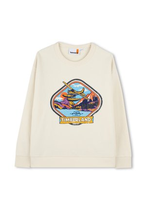 Felpa color crema con un logo grafico che raffigura montagne, un lago e un aereo, messo in risalto da accenti blu, arancioni e verdi.