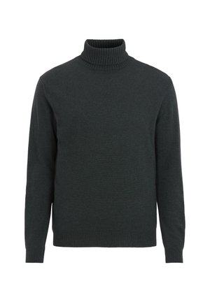 Dark green turtleneck sweater made of soft knit material. Features a ribbed collar and cuffs, with long sleeves and a relaxed fit.