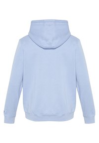 Chiemsee KAPUZEN MIT -LOGO - Zip-up sweatshirt - brunnera blue