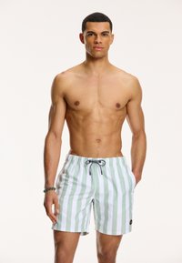 Shiwi - REGULAR FIT BROAD STRIPE - Badeshorts - dust green Miniaturebillede 1