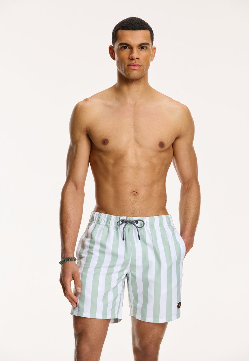 Shiwi - REGULAR FIT BROAD STRIPE - Badeshorts - dust green, Forstør