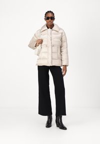 Calvin Klein JACKET - Winter jacket - gray morn