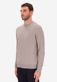 Maglione grigio a girocollo realizzato in materiale leggero, con maniche lunghe e polsini e orlo a costine. Texture liscia, design semplice.