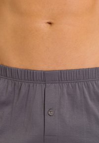 Hanro Boxershorts - mercury