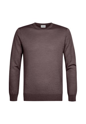 PROFUOMO, THE MERINO CREW-NECK - Jersey de punto - aubergine
