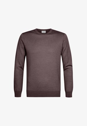 PROFUOMO, THE MERINO CREW-NECK - Jersey de punto - aubergine
