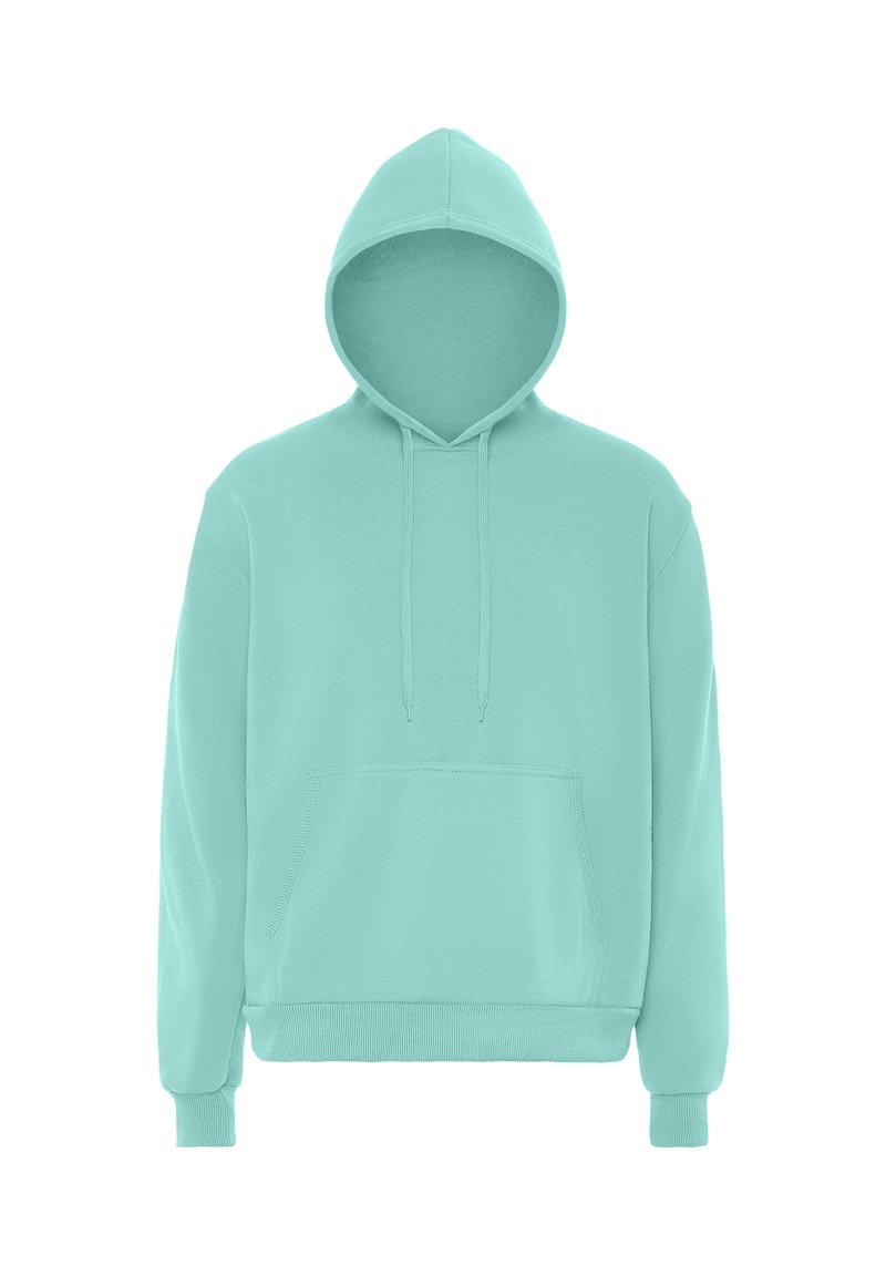Felpa verde menta con tasca frontale, cappuccio con cordino, maniche lunghe e polsini a costine. Tessuto liscio, design casual.