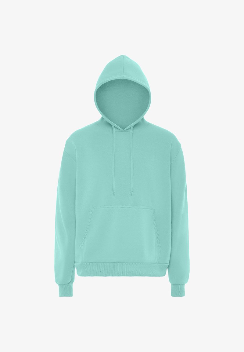 Felpa verde menta con tasca frontale, cappuccio con cordino, maniche lunghe e polsini a costine. Tessuto liscio, design casual.
