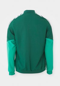 Tmavozelená športová bunda s svetlejšími zelenými dolnými rukávmi a bielymi pruhmi pozdĺž ramien, zobrazená zozadu.