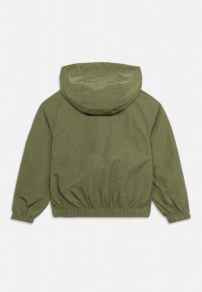 Olive green hooded jacket with elastic cuffs and waistband, shown from the back on a plain light background.