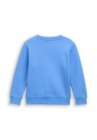 Effen lichtblauwe sweatshirt met lange mouwen, ribgebreide ronde hals, manchetten en zoom, weergegeven vanaf de achterkant op een witte achtergrond.
