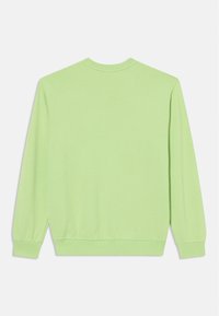 Sweatshirt verde claro com gola redonda, mangas longas e punhos elásticos. Textura suave com um design de cor sólida.