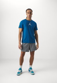 Jordan Korte sportsbukser - smoke grey/black