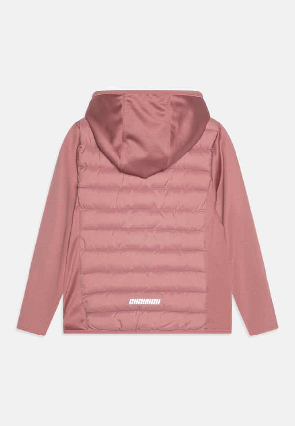 KNMIO HYBRID  - Winter jacket - nostalgia rose4