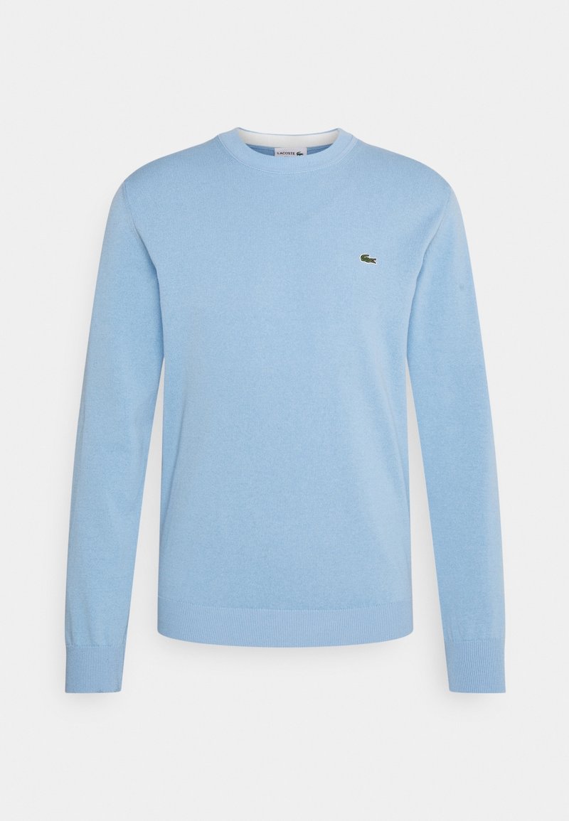 Pull bleu clair à manches longues avec col rond, poignets et ourlet côtelés, arborant un petit logo crocodile vert sur le côté gauche de la poitrine.