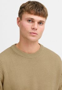 Beige ribbed knit sweater with a wide crew neckline, featuring a textured fabric and subtle seam detailing. Model has short hair and light skin.