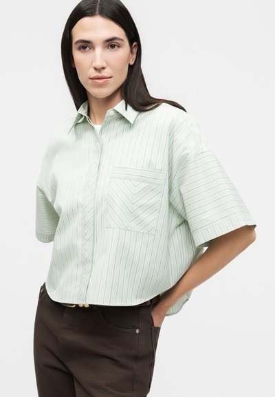 Γυναίκα με ίσια σκούρα μαλλιά που φοράει ένα φαρδύ, ανοιχτοπράσινο ριγέ κοντομάνικο πουκάμισο και σκουρόχρωμο παντελόνι, ποζάροντας με το ένα χέρι στην τσέπη.