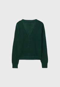 Green knitted sweater with a textured finish, ribbed cuffs and hem, and a V-shaped back design. Long sleeves and a relaxed fit.