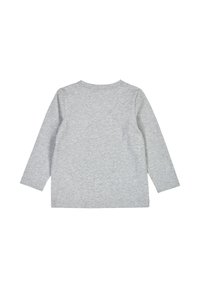 Graues Langarmshirt aus weichem Baumwollstoff, mit Rundhalsausschnitt und schlichtem, ungemustertem Rücken sowie geradem Saum.
