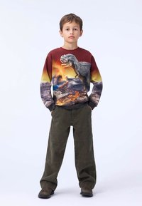 Molo MIKSI  - Sudadera - dark red