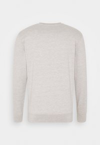 Maglione grigio chiaro a maniche lunghe con scollo rotondo visto da dietro, realizzato in un tessuto morbido e liscio, con una vestibilità rilassata.