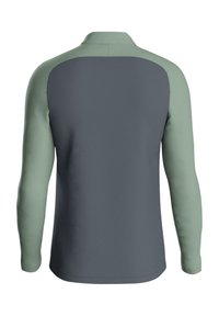 Polo a maniche lunghe in grigio e verde. Presenta un colletto e pannelli di colore contrastante su maniche e spalle. Texture liscia, vestibilità atletica.