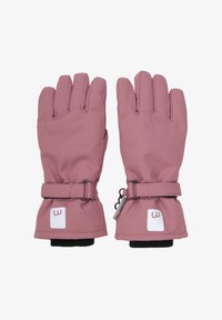 Sélectionné, withered rose