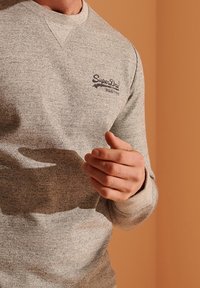 Superdry & Co Sudadera - grey
