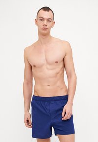 Shorts de bain rayés bleus avec une taille élastique, fabriqués en tissu léger. Les shorts sont de longueur genou et ont une coupe décontractée.