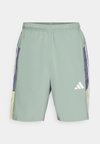TRAIN ESSENTIALS SEASONAL SHORT - Športové šortky - silver green