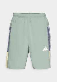TRAIN ESSENTIALS SEASONAL SHORT - Sports shorts - silver green