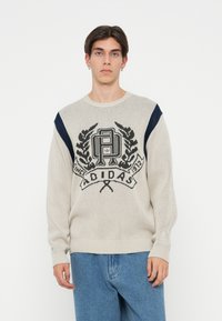 Bež pr sweater z črnim logotipom in orlejem na sprednji strani, z temno modrimi odtenki na ramenskem delu in rebrastimi manšetami.