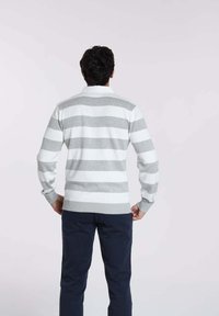 Pull à rayures gris clair et blanc avec un ourlet et des poignets côtelés, doté d'un col et d'une texture en tricot, porté par une personne vue de dos.