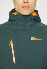 Jack Wolfskin TROPOSPHERE INS JACKET - Giacca invernale - black olive