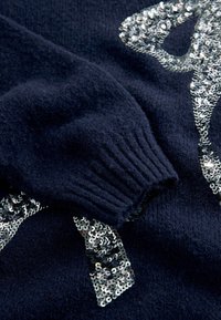 Next REGULAR FIT - BOW EMBELLISHED  - Abito in maglia - navy