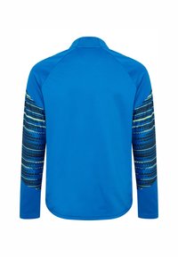 Blaues Langarmhemd aus glattem Material; mit gemusterten Akzenten in dunklerem Blau und Grün an den Ärmeln und einem klassischen Kragen.