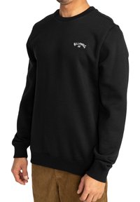 Black sweatshirt made of soft fabric, featuring a round neckline, long sleeves, and a small embroidered logo on the chest. Classic fit.