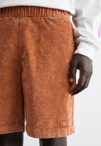 Dickies CHASE CITY - Shorts - mocha bisque