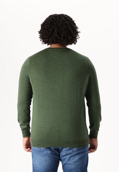 Polo Ralph Lauren Big & Tall LONG SLEEVED PULLOVER - Pulóver - classic olive