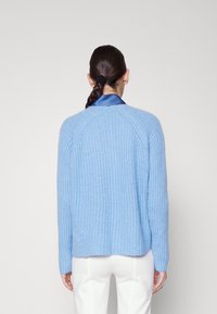 DRYKORN Sweter