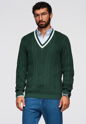 Grüner gestrickter Pullover mit V-Ausschnitt, der ein strukturiertes Muster und weiße Akzente aufweist. Über einem hellblauen Hemd getragen. Blaue Jeans.