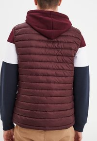 Creeks Bodywarmer - prune