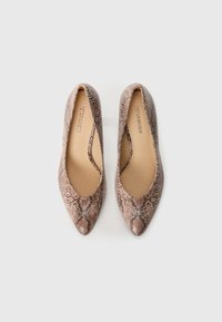 Pointed-toe flats with a faux snake skin pattern in brown and beige tones. Features a low-cut vamp and a smooth interior lining.