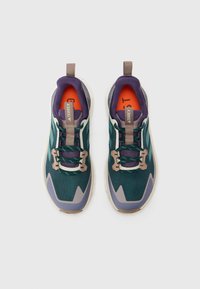 Adidas Terrex TERREX FREE HIKER 2 - Scarpa da hiking - aurora ivy/preloved teal/taupe oxide
