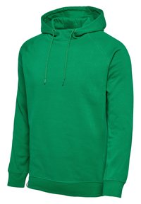 Groene pullover-hoodie met lange mouwen en verstelbare trekkoorden in de capuchon, gemaakt van gladde stof, afgebeeld tegen een witte achtergrond.