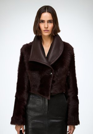 ASHLEY - Giacca da mezza stagione - bordeaux